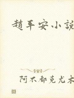 赵平安小说主角