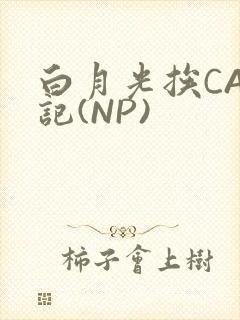 白月光挨CAO记(NP)