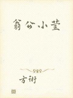 翁公小莹