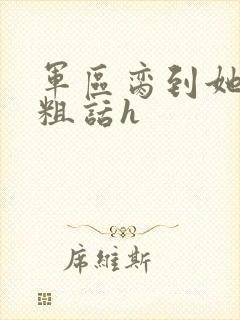 军区脔到她哭h粗话h封面