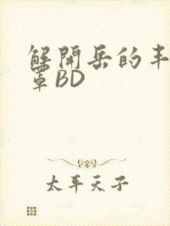 解开岳的丰满奶罩BD封面