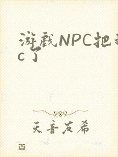 游戏NPC把我c了