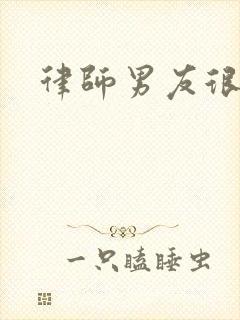 律师男友很难撩