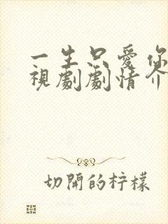 一生只爱你 电视剧剧情介绍封面
