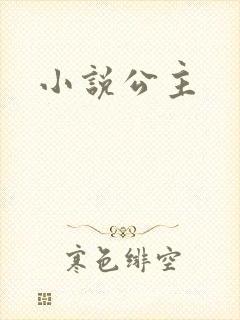 小说公主