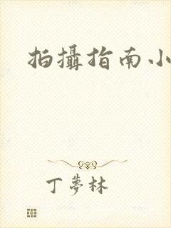 拍摄指南小说
