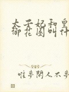 太子妃和皇帝在御花园叫什么小说