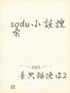 sodu小说搜索