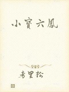 小宝六凤