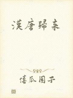 汉唐归来