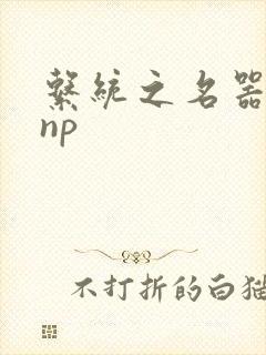 系统之名器攻略np
