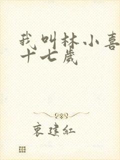 我叫林小喜今年十七岁封面