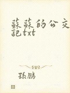 苏苏的公交车日记txt封面