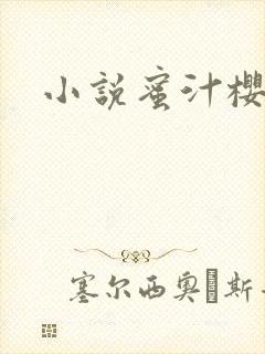 小说蜜汁樱桃