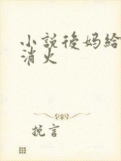 小说后妈给我消消火