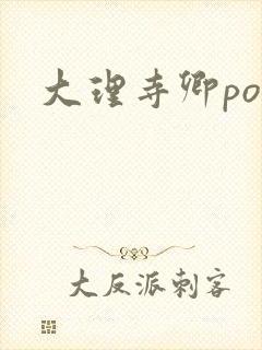 大理寺卿po