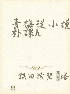 青梅从小摸到大补课h