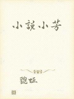 小说小芳封面
