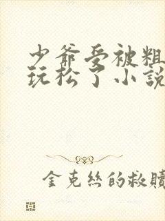 少爷受被粗汉H玩松了小说封面