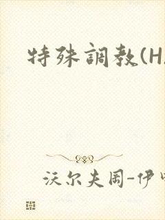 特殊调教(H)