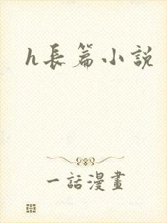 h长篇小说封面