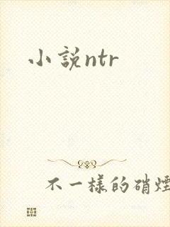 小说ntr封面