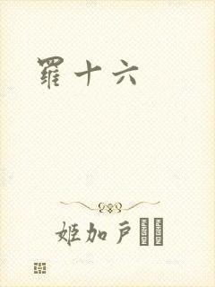 罗十六