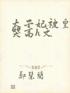 太子妃被皇上c哭高h文封面