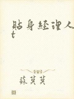 贴身经理人txt
