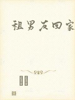 租男友回家过年封面