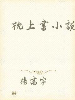 枕上书小说