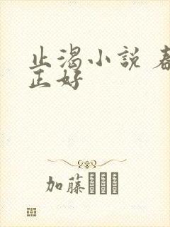 止渴小说 春光正好
