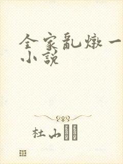 全家乱炖一锅烩小说