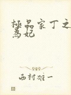 极品家丁之册母为妃