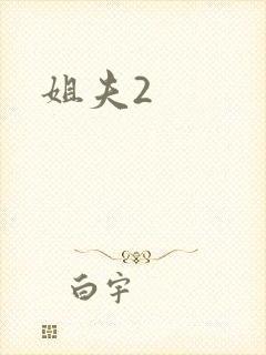 姐夫2