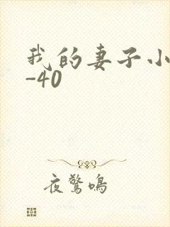 我的妻子小谨1-40封面