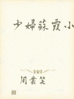 少妇苏霞小说