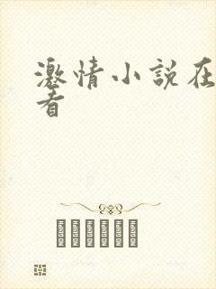 激情小说在线观看
