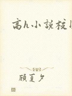 高h小说校园封面