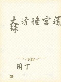 大清后宫还君明珠封面