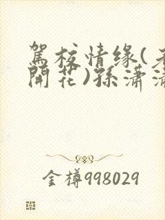 驾校情缘(老树开花)孙潇潇笔趣阁