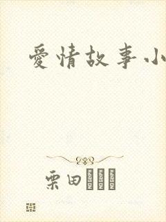 爱情故事小说封面