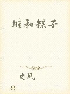 维和粽子