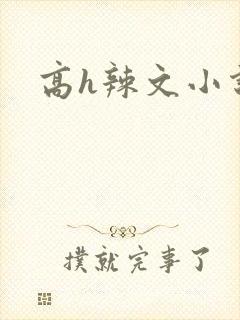 高h辣文小说