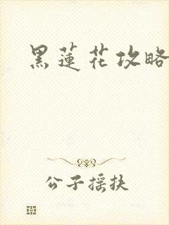黑莲花攻略手册