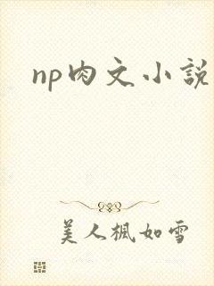 np肉文小说
