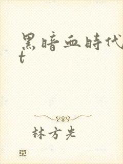 黑暗血时代txt封面