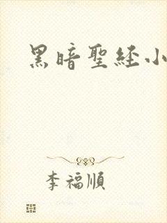 黑暗圣经小说