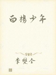 白杨少年封面