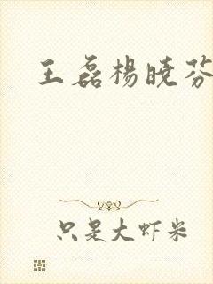 王磊杨晓芬